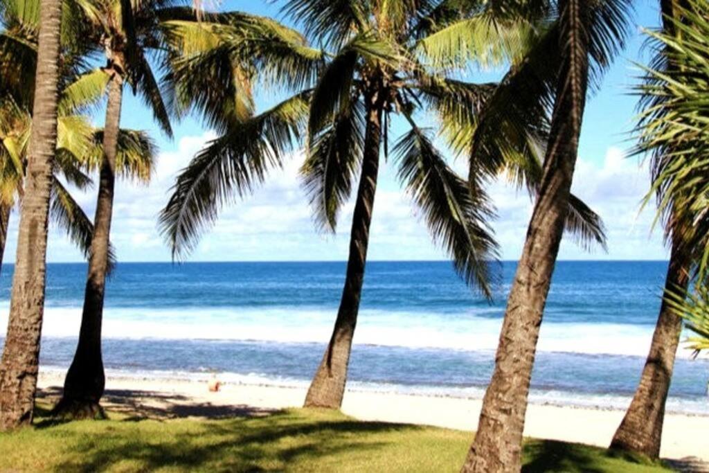 Maison De Vacances, Decouvrir Le Sud De La Reunion Petite Île 外观 照片