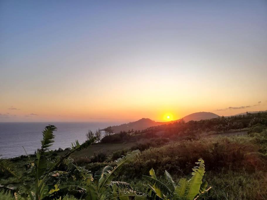Maison De Vacances, Decouvrir Le Sud De La Reunion Petite Île 外观 照片